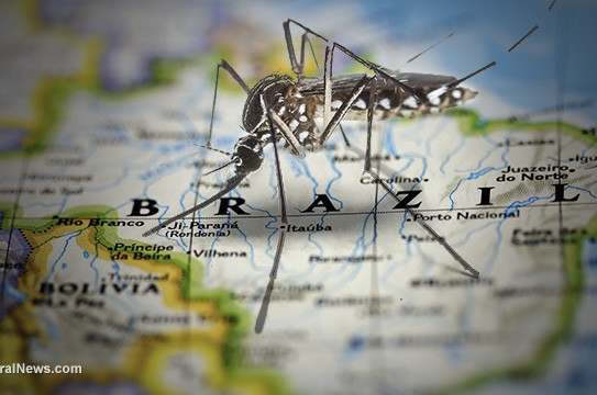 Mosquito-Map-of-Brazil